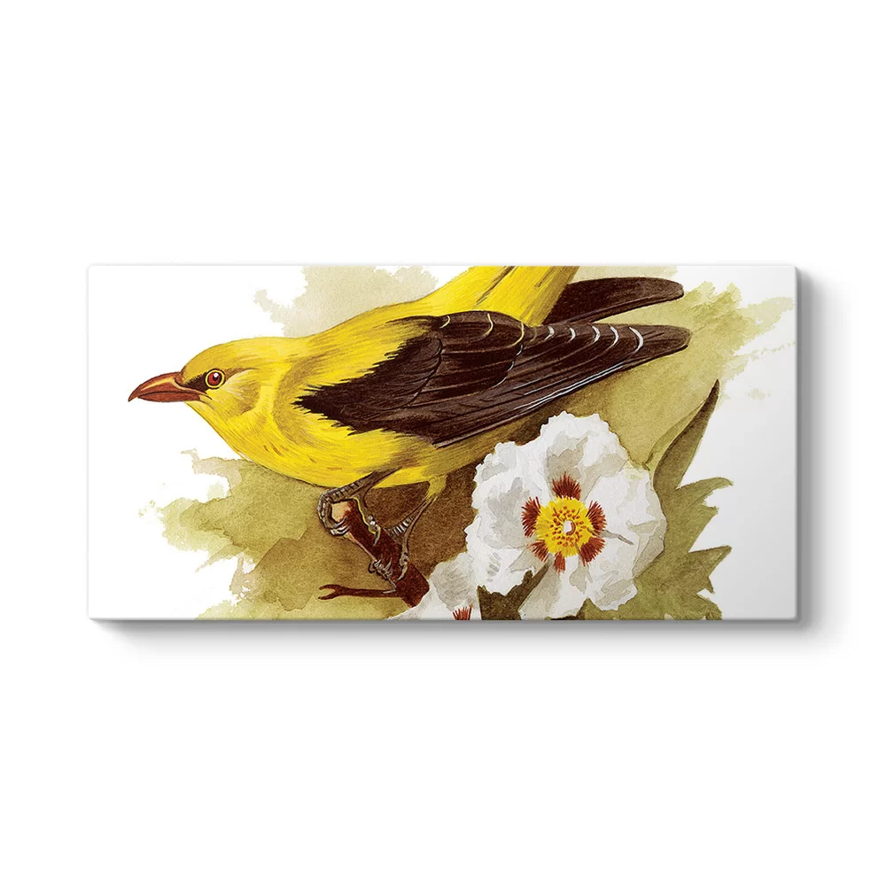 Goldfinch Bird Tablosu - Model 5
